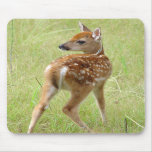 Whitetail Deer - Fawn Mousepad 6