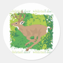 Whitetail Deer Grunge Sticker