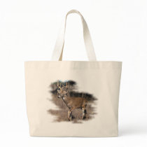 Whitetail deer in the field bags