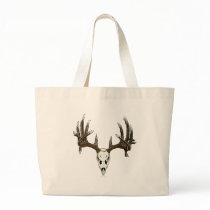 Whitetail deer skull 1 bags