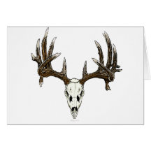 Whitetail deer skull 1 greeting cards