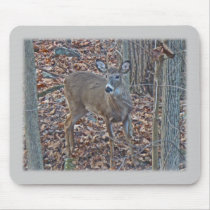 Whitetail Deer Spike Buck Series Mouse Pad