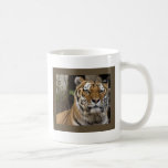 Who Are You Calling Fuzzy and Cute? Mugs