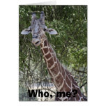 Who, me? cards
