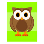 Who? Mr. Owl Cartoon Post Cards