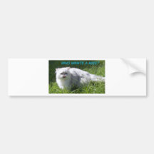WHO WANTS A KISS BUMPER STICKERS