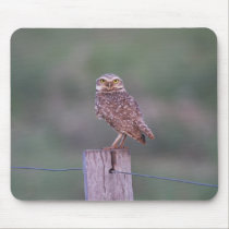 Who you lookin' at? mousepads