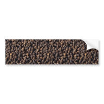 Whole black pepper corns bumper sticker