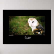 Whooie Posters