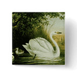 Whooper Swan Button