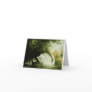Whooper Swan Customize Card
