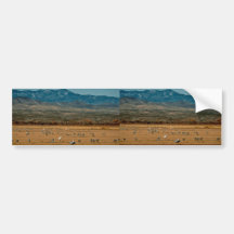 Whooping and Sandhill Cranes Bumper Stickers