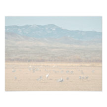 Whooping and Sandhill Cranes Personalized Invite