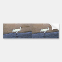 Whooping Crane Bumper Stickers