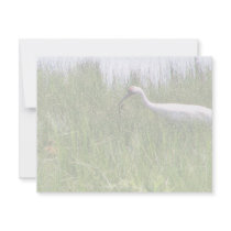 Whooping Crane Feeding a Chick Invitation