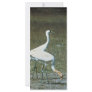 Whooping Cranes Customized Rack Card