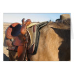 Whoops! My Saddle Slipped! Support Card - Western