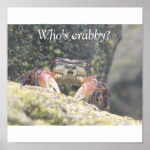Who's crabby? posters