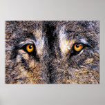 Who's Watching Print