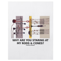 Why Are You Staring At My Rods & Cones?