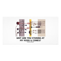 Why Are You Staring At My Rods & Cones?