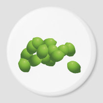 Why Can't I Hold All These Limes? magnets