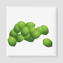 Why Can't I Hold All These Limes? magnets