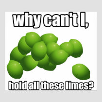 Why Can't I Hold All These Limes? posters