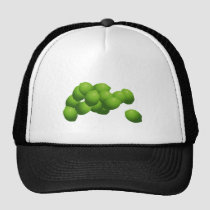 Why Can't I Hold All These Limes? hats