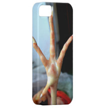 Why Did The Chicken...? iPhone 5 Case