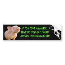 why do you eat animals bumper stickers