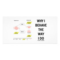 Why I Behave The Way I Do (Sociobiology)