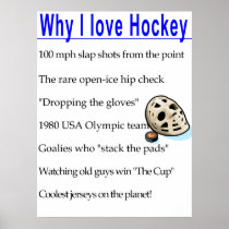 Why I Love Hockey Poster