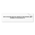 WHY IN THE HECK ARE YOU LOOKING AT THIS STICKER... bumper stickers