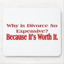 Why is Divorce so Expensive