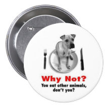 Why Not? Buttons