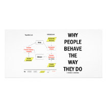 Why People Behave The Way They Do