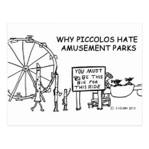 Why Piccolos Hate Amusement Parks Post Card