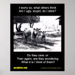 Why Worry poster