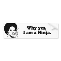 WHY YES, I AM A NINJA.
