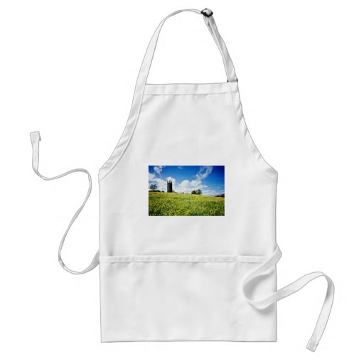 Wide comb buttercup flowers, Devon, England  flowe Aprons