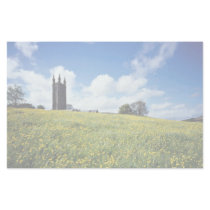 Wide comb buttercup flowers, Devon, England Stationery
