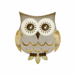 Wide Eyes Owl Photo Sculpture