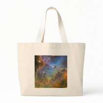 Wide-Field Image of the Eagle Nebula Bags