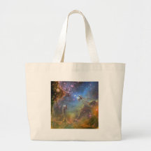 Wide-Field Image of the Eagle Nebula Bags