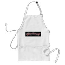 Widefield Milky Way Galaxy Composite Panorama Aprons