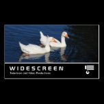 Widescreen 0440 - Emden Geese business cards