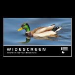 Widescreen 0441 - Mallard Duck business cards