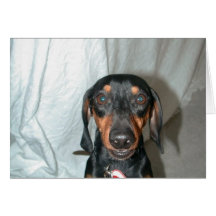 Wiener Words Greeting Cards