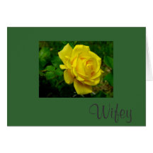 Wife Birthday Greeting Card